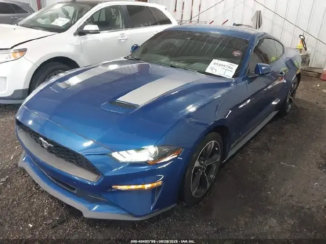 FORD MUSTANG ECOBOOST FASTBACK 2022