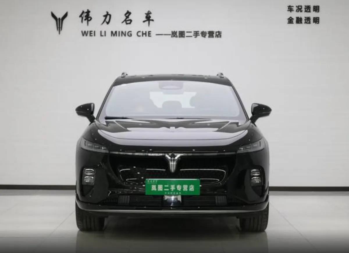 VOYAH GLOBAL 2024 GLOBAL 4WD EDITION 2024