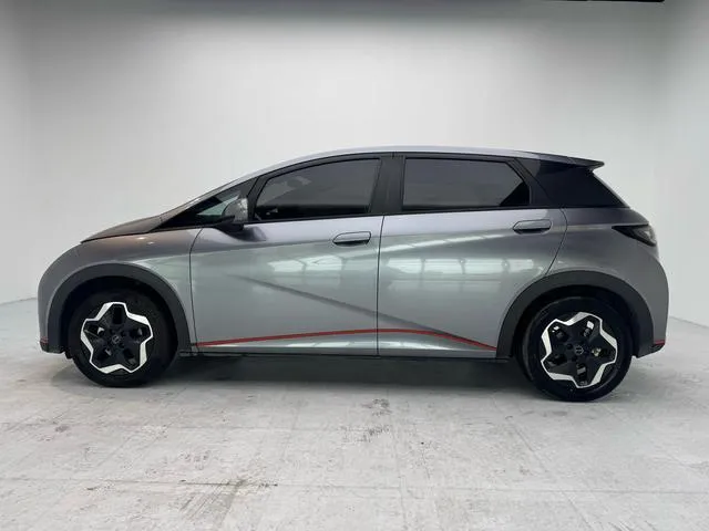 BYD DOLPHIN 2022