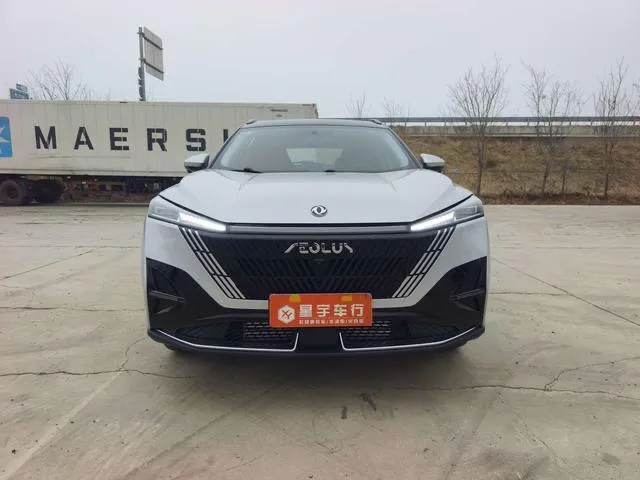 DONGFENG HAOHAN LUXURY 2023
