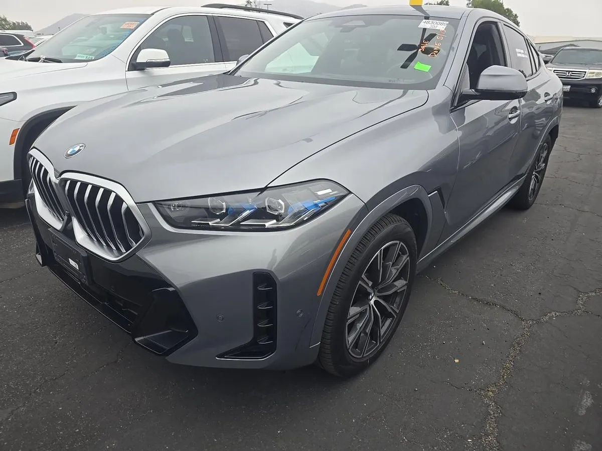 BMW X6 SPORTS ACTIVITY COUPE 2024