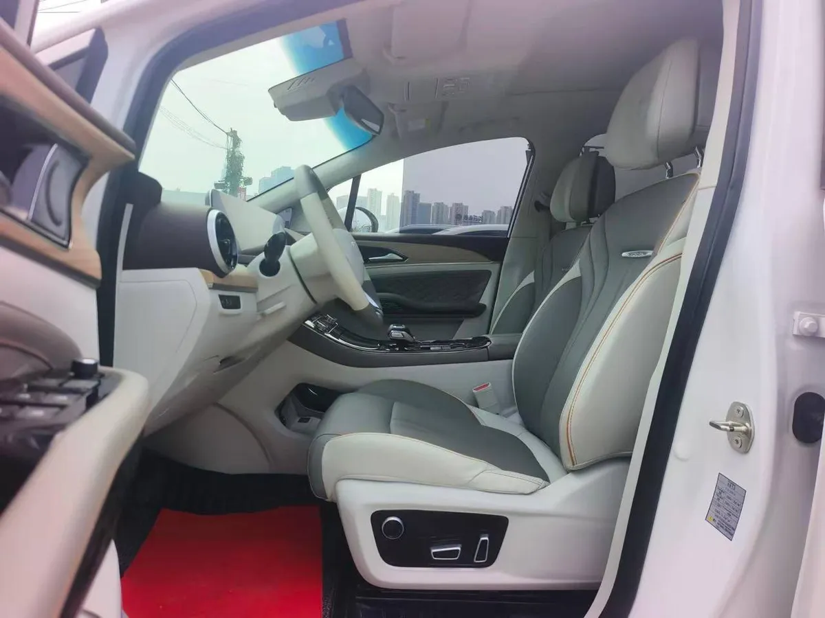 DONGFENG FORTING YOUTING 2022