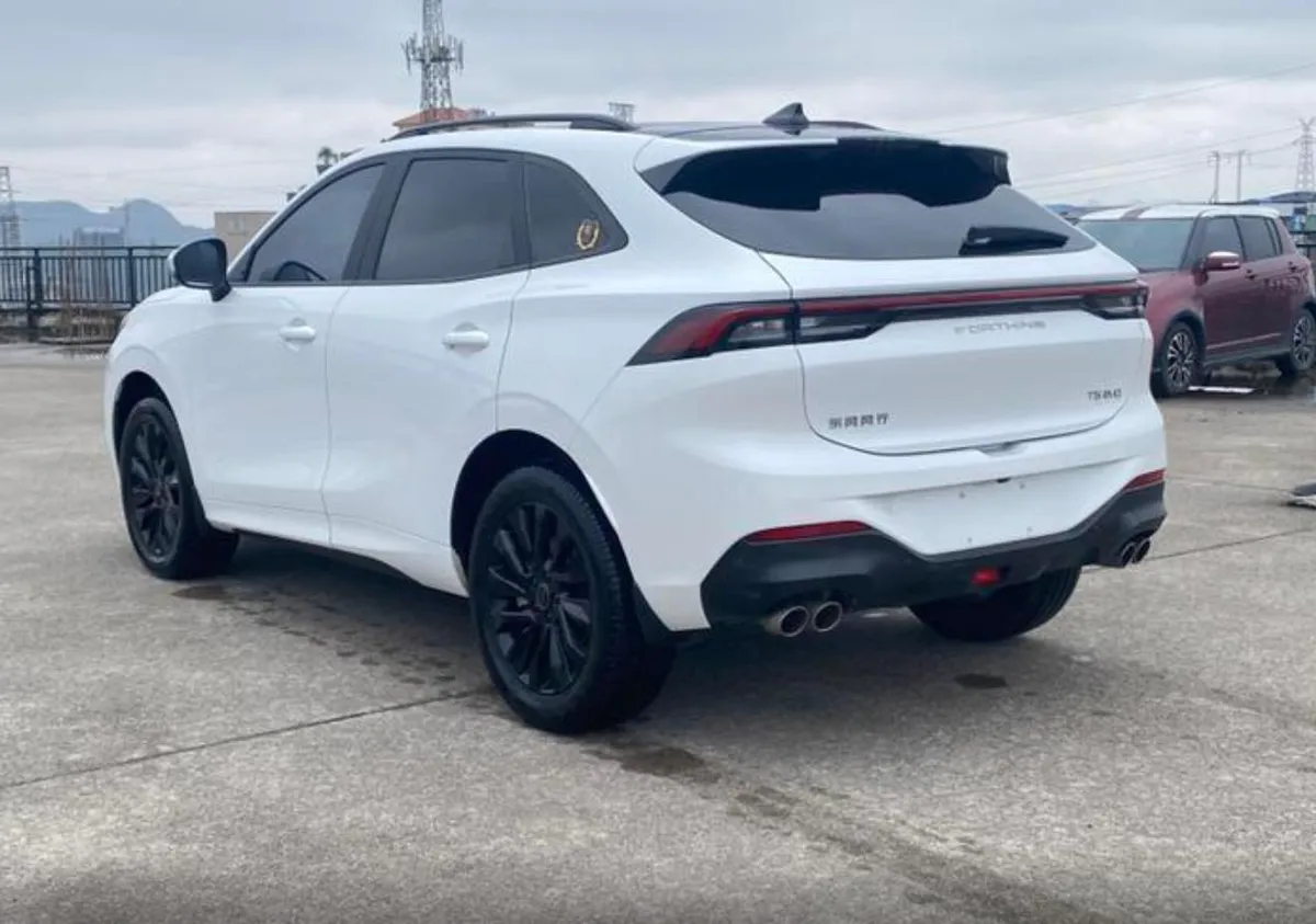FENGXING EVO T5 EVO 2023
