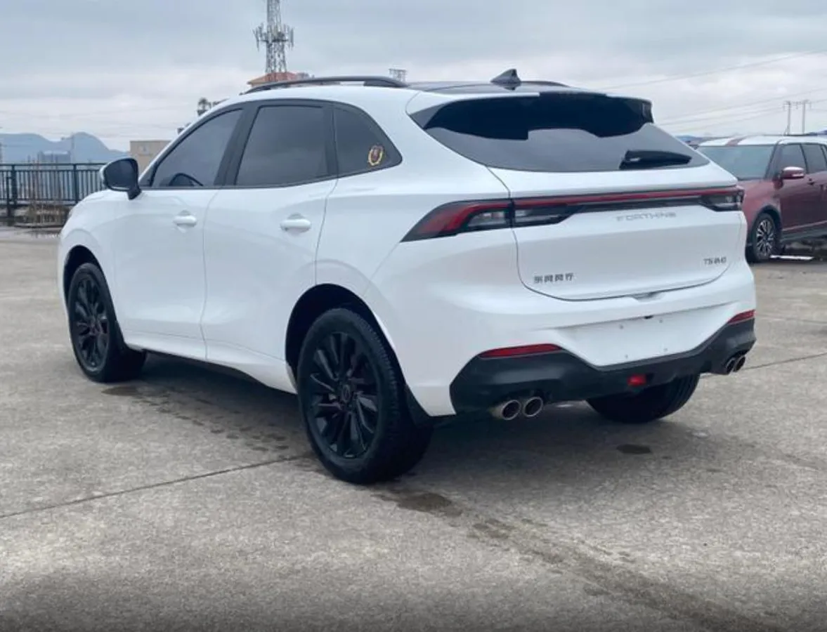 FENGXING EVO T5 EVO 2023