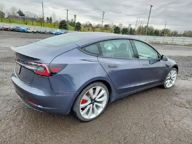 TESLA MODEL 3 2019