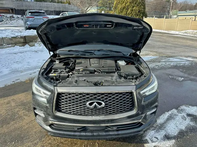 INFINITI QX80 LUXE 2023