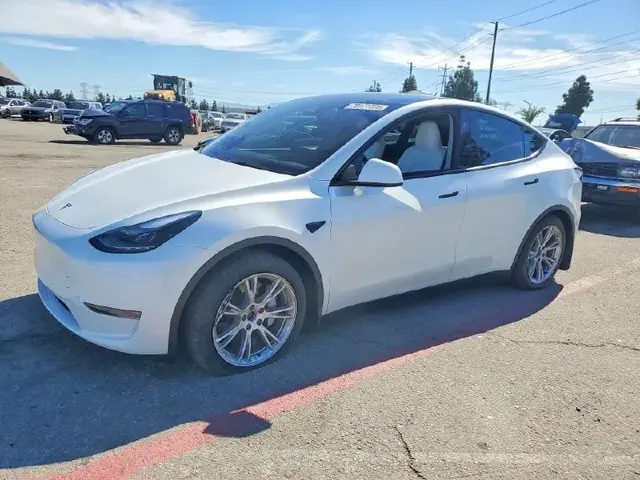 TESLA MODEL Y 2024