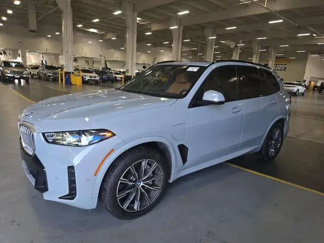 BMW X5 SPORTS ACTIVITY VEHICLE 2024