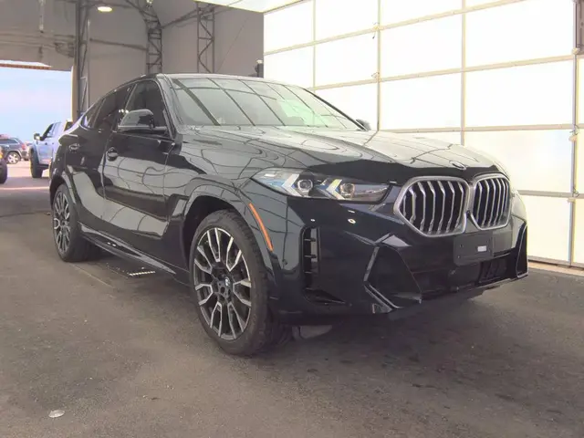 BMW X6 SPORTS ACTIVITY COUPE 2024