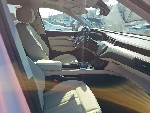 AUDI Q8 E-TRON PREMIUM PLUS 2024