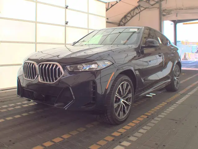 BMW X6 SPORTS ACTIVITY COUPE 2024