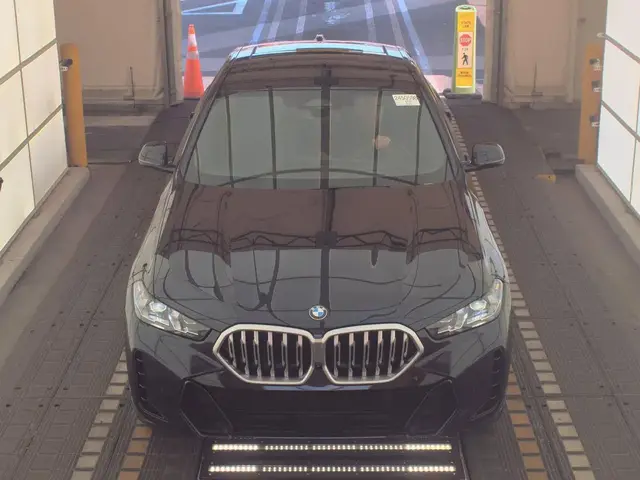 BMW X6 SPORTS ACTIVITY COUPE 2024