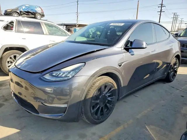 TESLA MODEL Y 2021