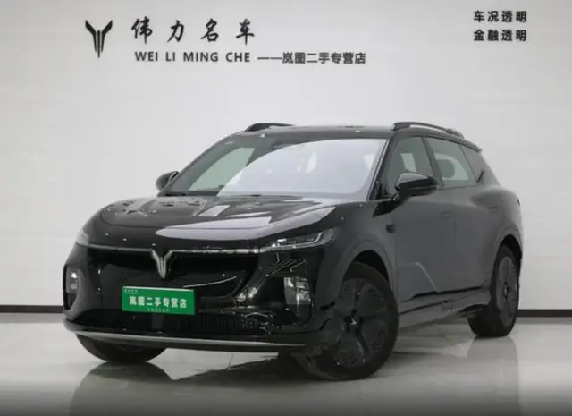 VOYAH GLOBAL 2024 GLOBAL 4WD EDITION 2024