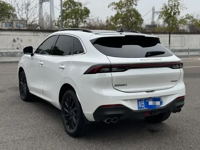 DONGFENG FENGXING EVO FENGXING T5 EVO 2022