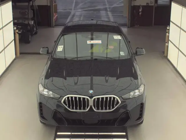 BMW X6 SPORTS ACTIVITY COUPE 2024