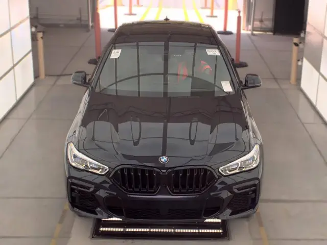 BMW X6 SPORTS ACTIVITY COUPE 2022
