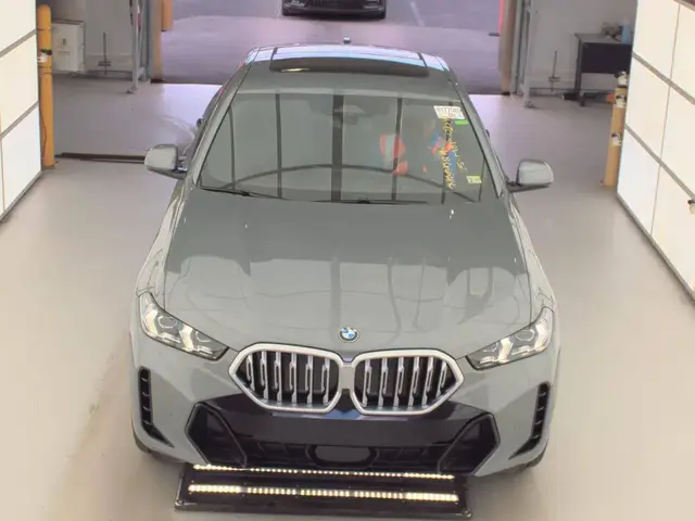 BMW X6 SPORTS ACTIVITY COUPE 2024