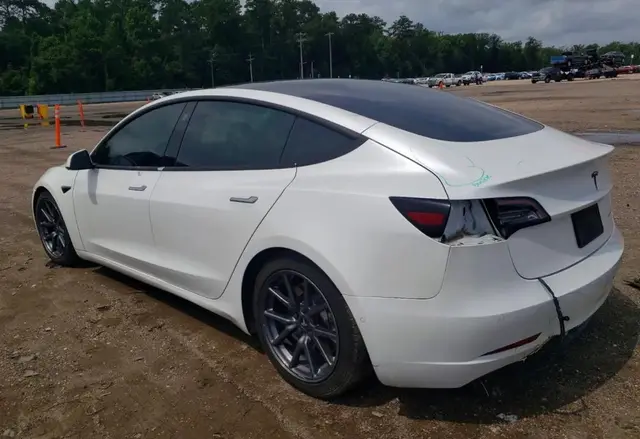 TESLA MODEL 3 2020