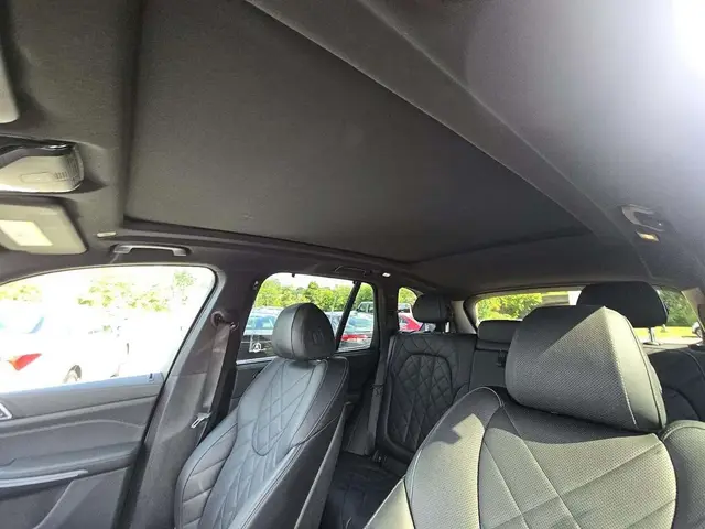 BMW X5 SPORTS ACTIVITY VEHICLE 2024