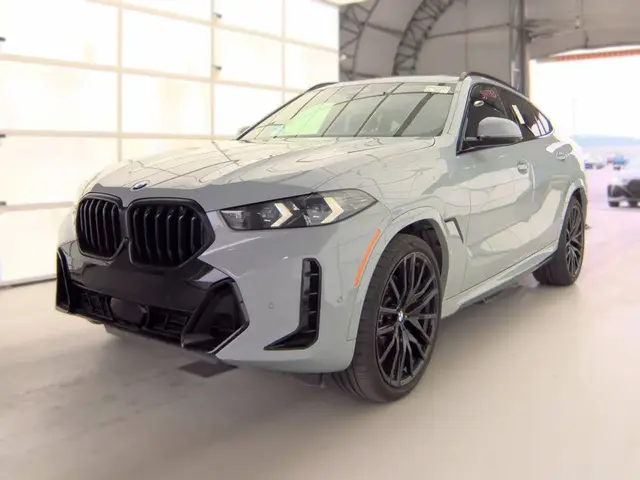 BMW X6 SPORTS ACTIVITY COUPE 2024