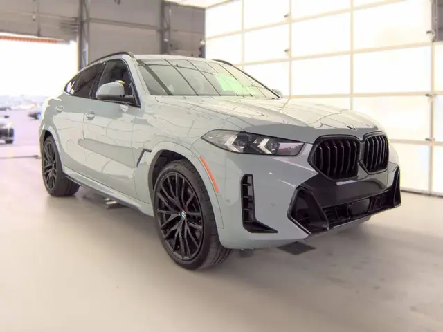 BMW X6 SPORTS ACTIVITY COUPE 2024