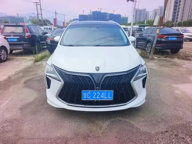 DONGFENG FORTING YOUTING 2022