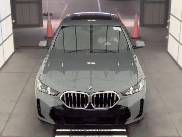 BMW X6 SPORTS ACTIVITY COUPE 2024