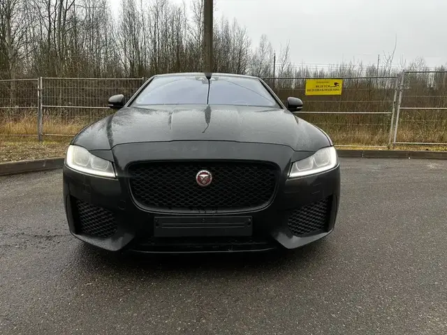 JAGUAR XF X260 2019