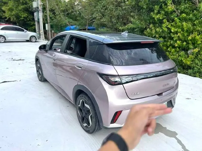 BYD DOLPHIN 2023