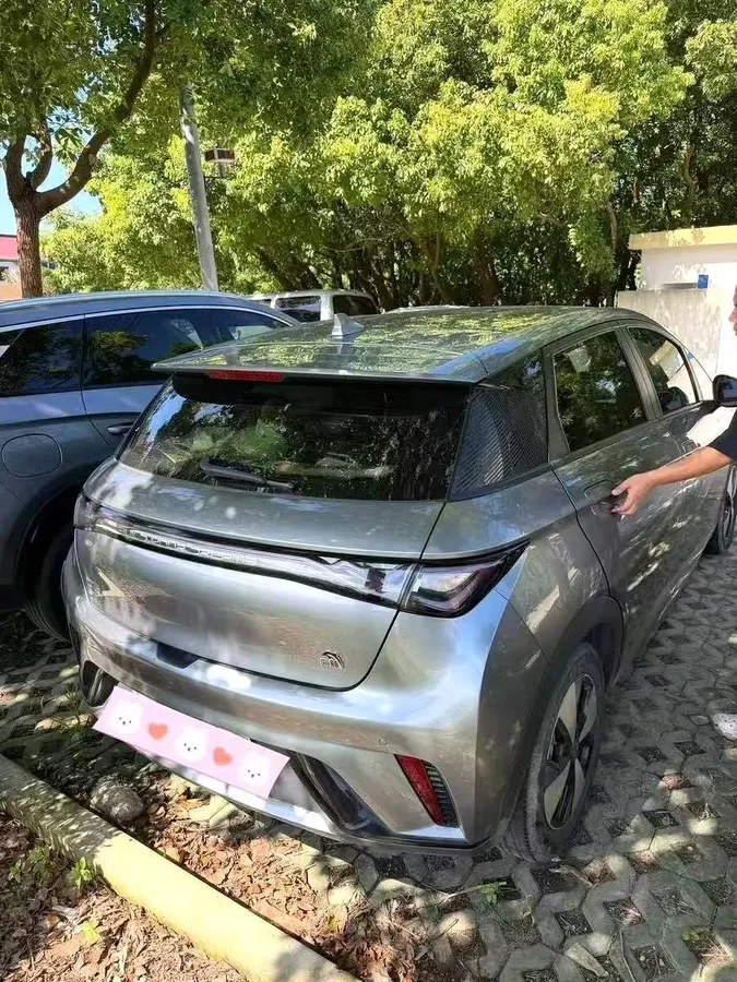 BYD DOLPHIN 2023