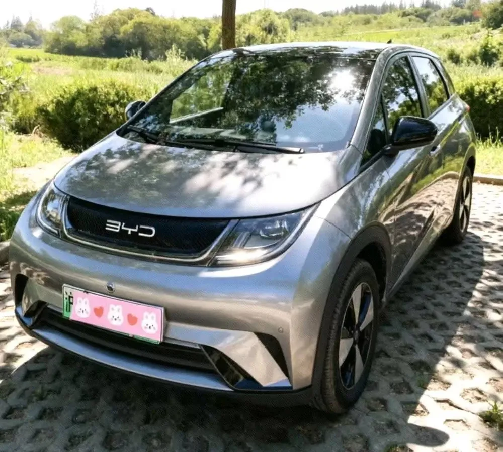 BYD DOLPHIN 2023