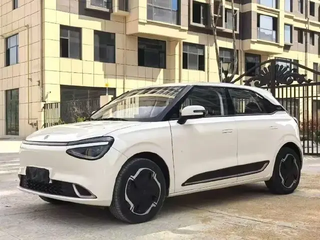DONGFENG BOX 2024