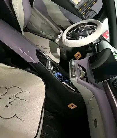 BYD DOLPHIN 2023