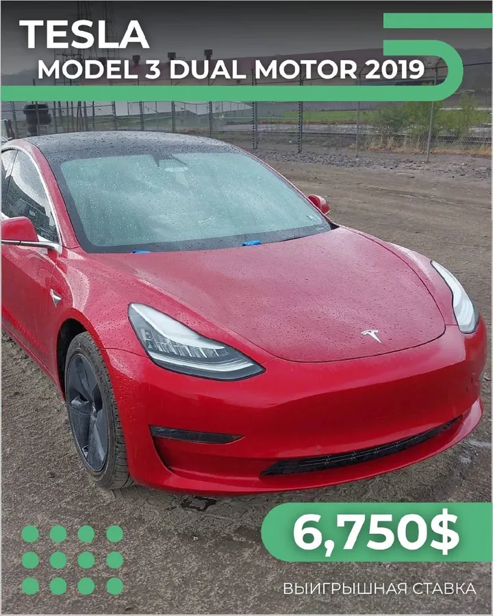 TESLA MODEL 3 2019