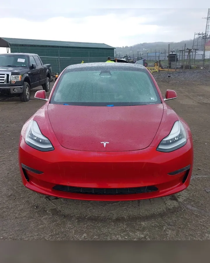 TESLA MODEL 3 2019