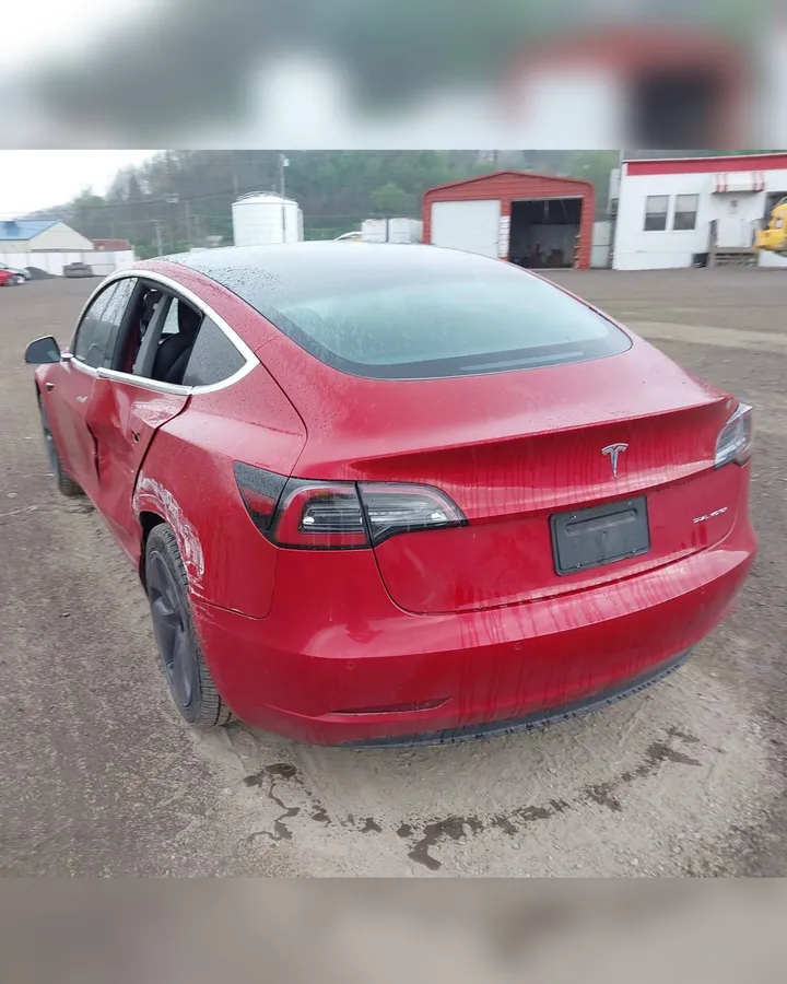 TESLA MODEL 3 2019
