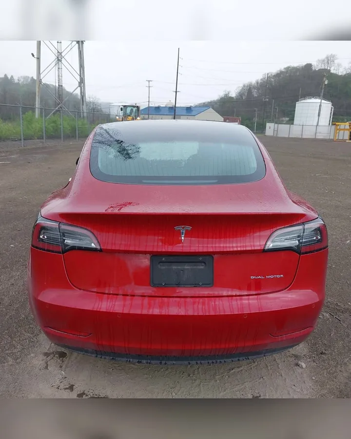 TESLA MODEL 3 2019