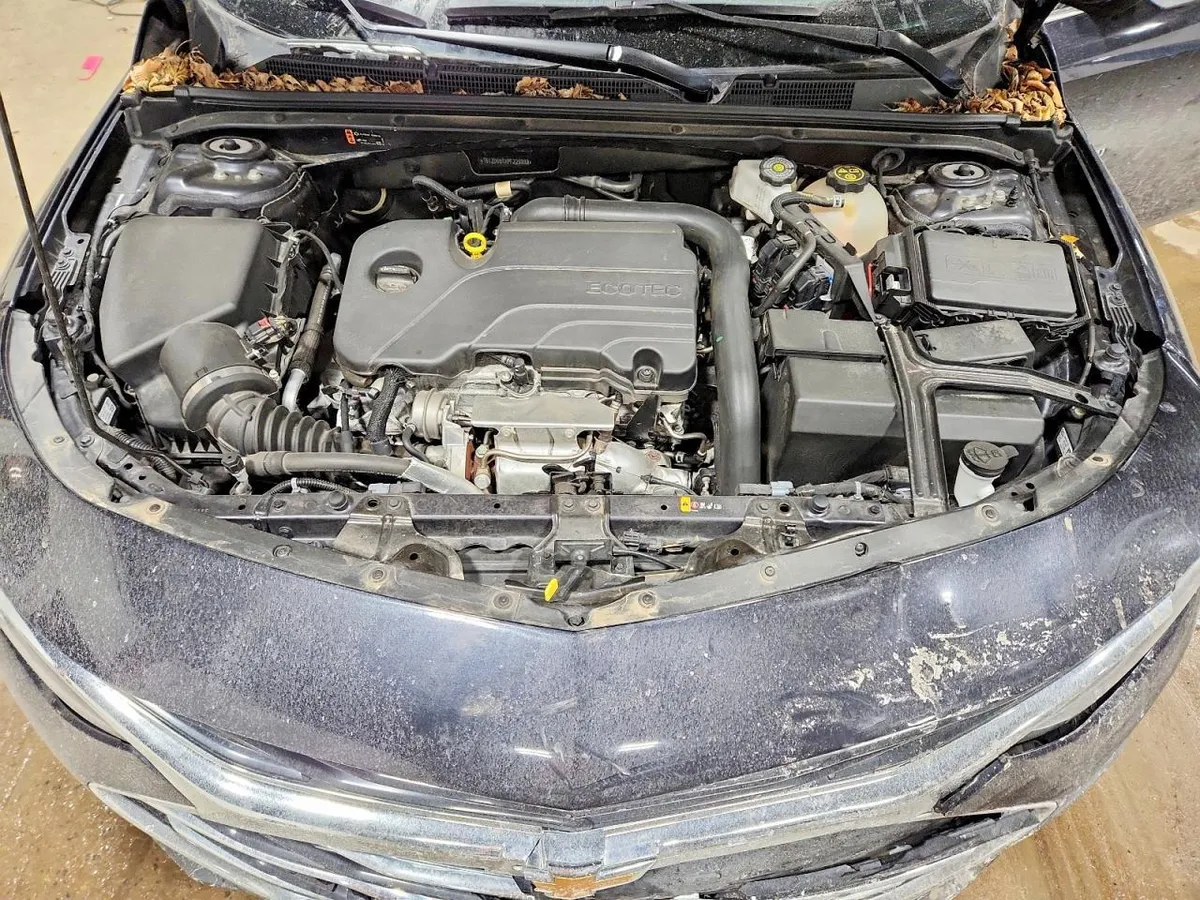 CHEVROLET MALIBU LT 2023