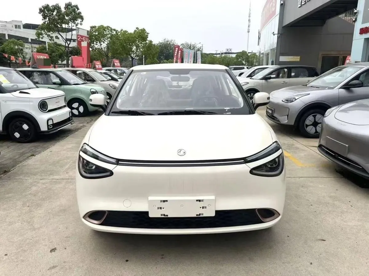 DONGFENG BOX 2026