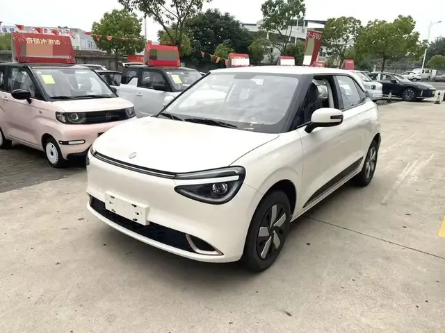 DONGFENG BOX 2026