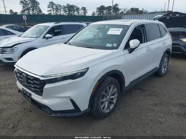 HONDA CR-V EX-L 1 2024