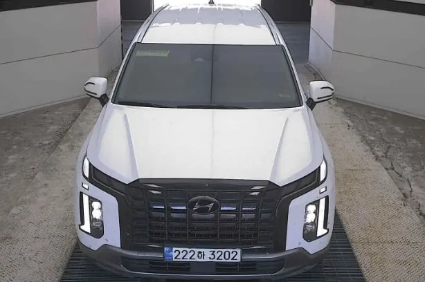 HYUNDAI PALISADE ПОДОГРЕВ ВЕНТИЛЯЦИЯ 2023