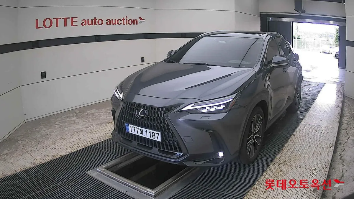 LEXUS NX350H LUXURY 2023