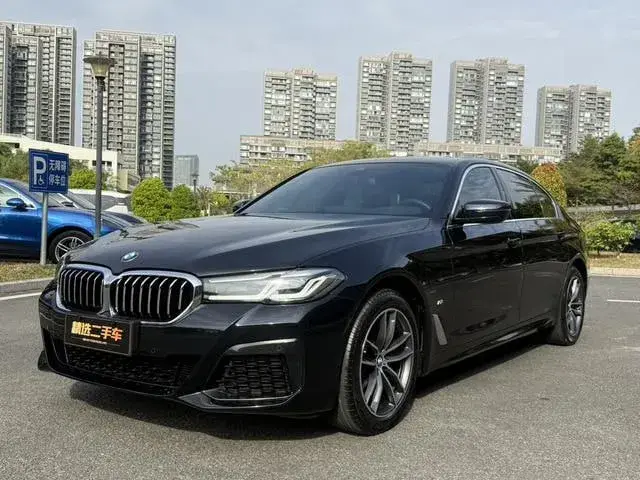 BMW 5 SERIES G38 525LI 2022