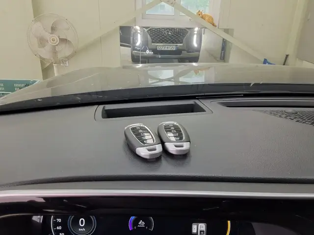 HYUNDAI PALISADE CALLIGRAPHY 2022