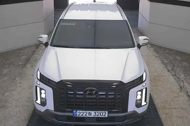HYUNDAI PALISADE ПОДОГРЕВ ВЕНТИЛЯЦИЯ 2023