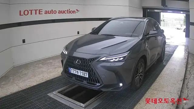 LEXUS NX350H LUXURY 2023