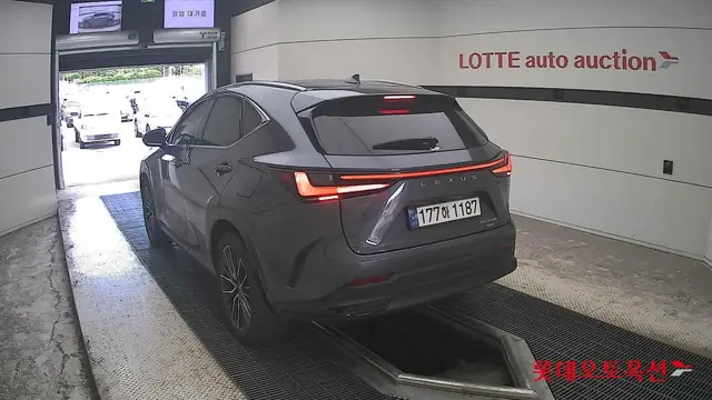 LEXUS NX350H LUXURY 2023