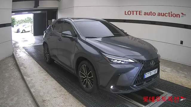 LEXUS NX350H LUXURY 2023